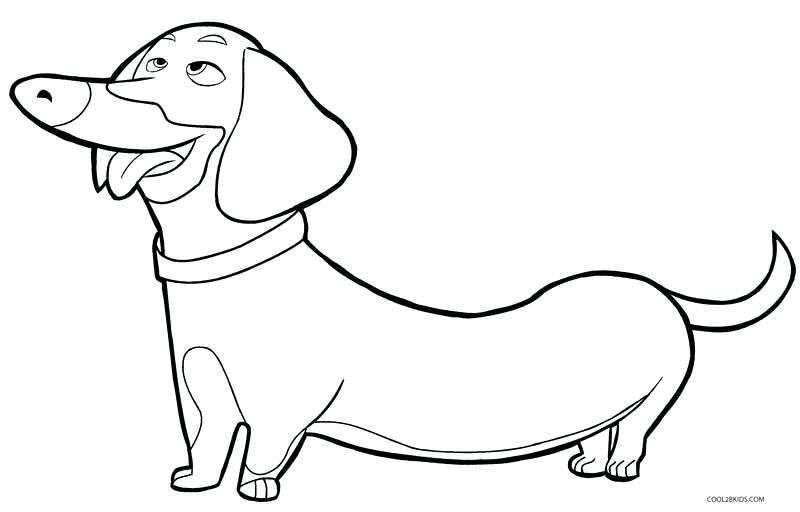 800x512 Coloring Page Dog