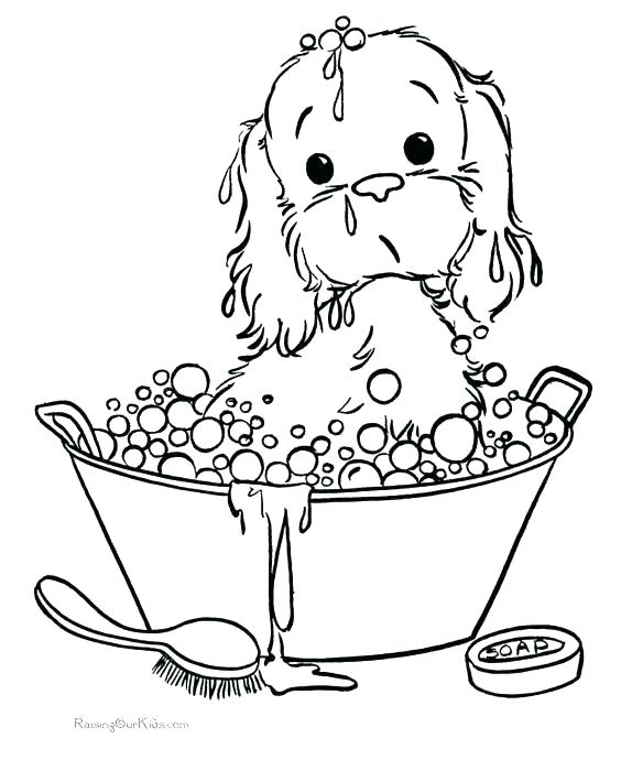 564x690 Dachshund Coloring Page Puppy Printable Coloring Pages Dachshund