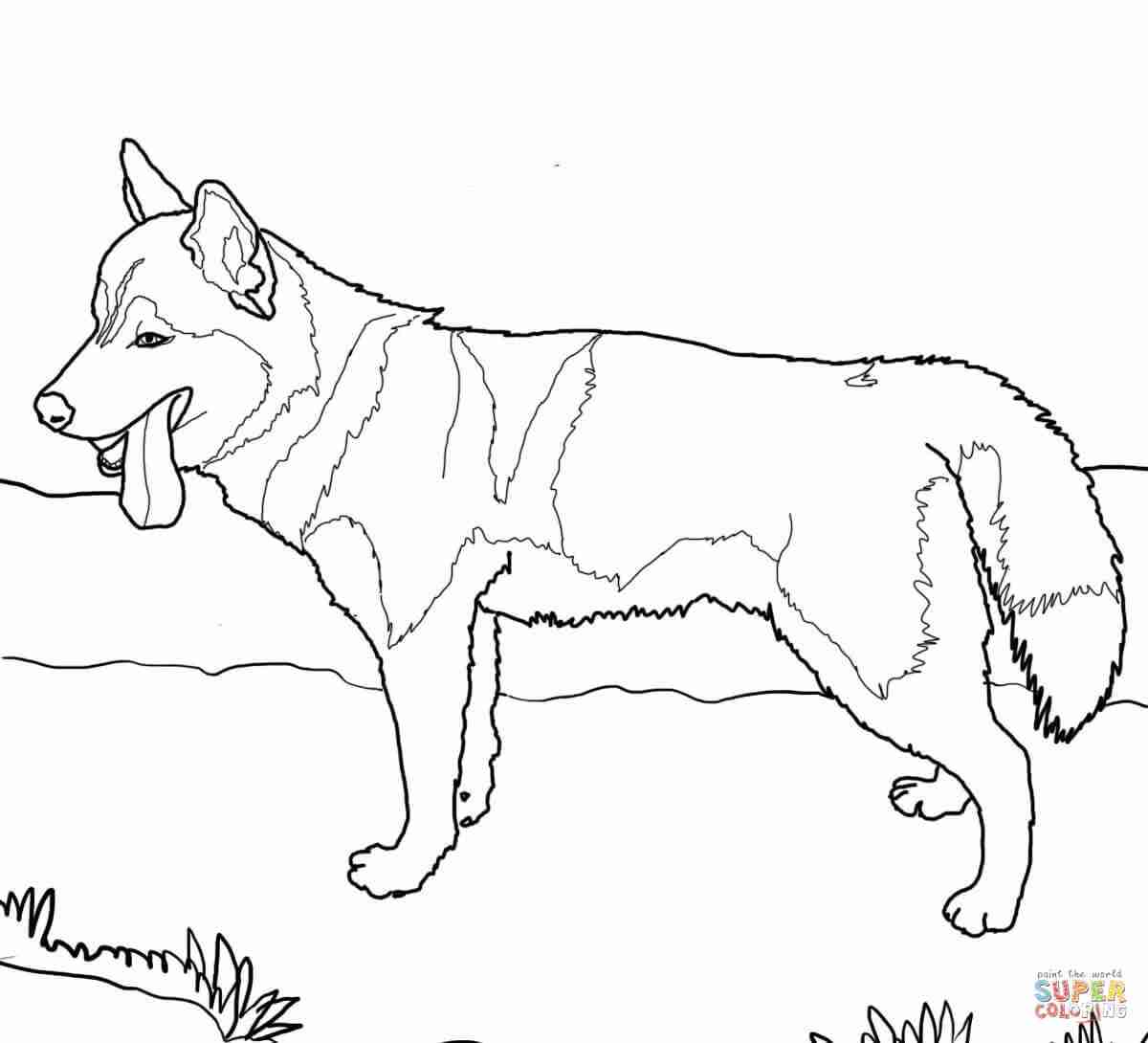 1200x1090 Dachshund Dog Coloring Page Free Printable Pages At Olegratiy
