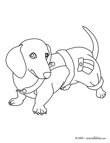 364x470 Dachshund Puppy Coloring Pages
