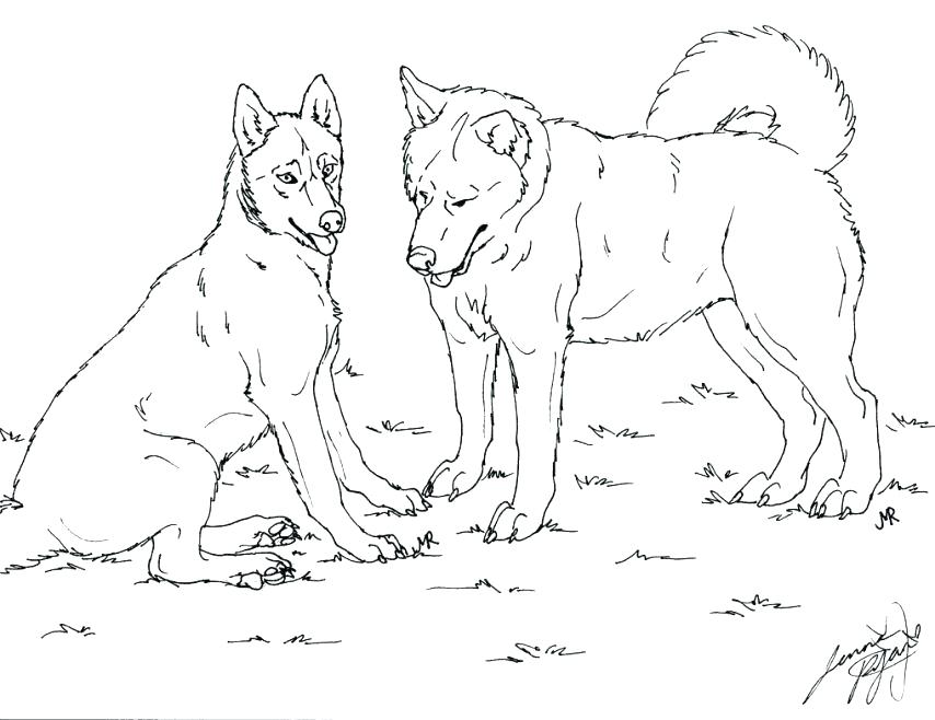 854x658 Husky Dog Coloring Pages Dachshund Coloring Page Puppy Coloring