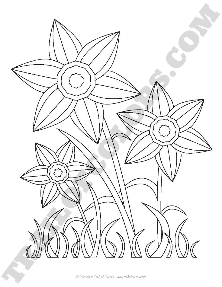 735x951 Daffodils Coloring Page For Kids