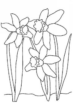 236x331 Daffodil Coloring Pages Flower Coloring Pages Spring