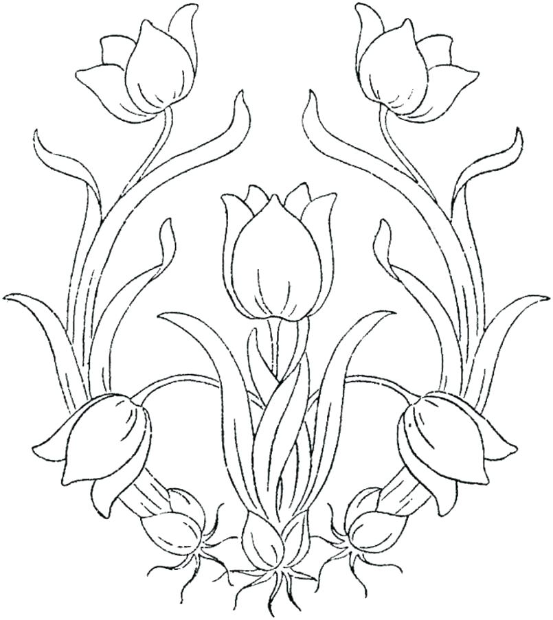 805x903 Daffodil Coloring Page Orange Coloring Page Coloring Pages Kids