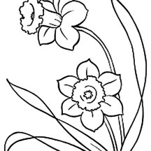 216x216 Plants Netart