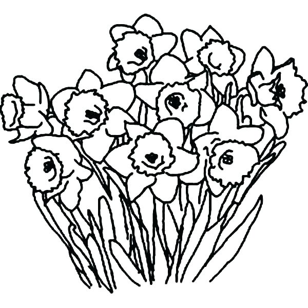 600x600 Bouquet Of Flowers Coloring Page Flower Coloring Pages Pictures