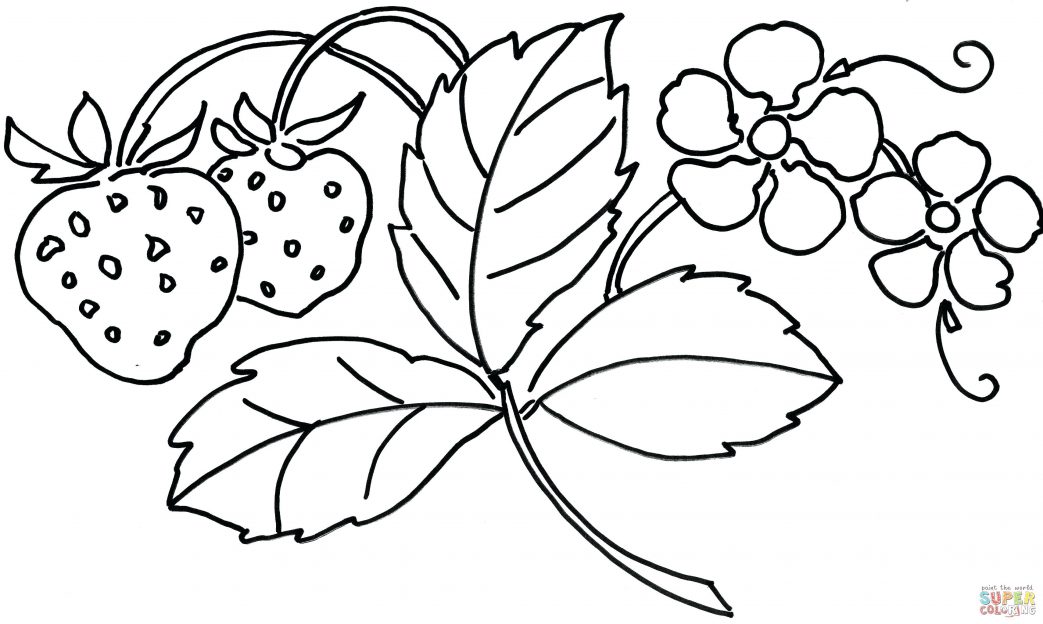 1043x624 Coloring Pages Christmas Disney Hand Page Pencil And In Color