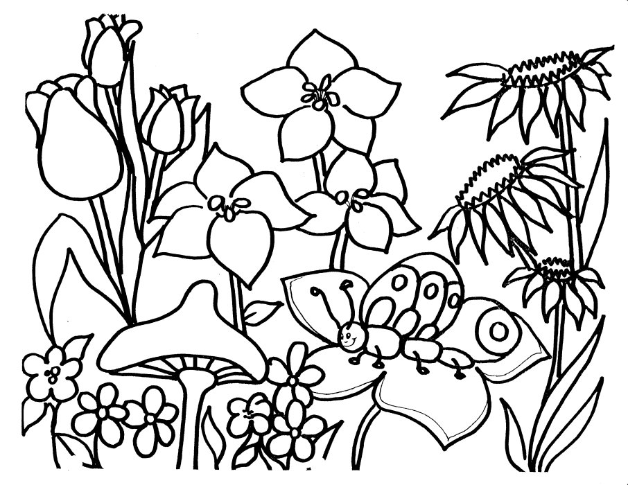 906x700 Coloring Pages Flowers Endearing Coloring Page Flower Dahlia Pages