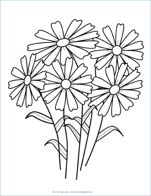 618x800 Easy Printable Flower Coloring Pages