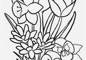 300x210 Flowers Coloring Pages Footage Dahlias To Print Color