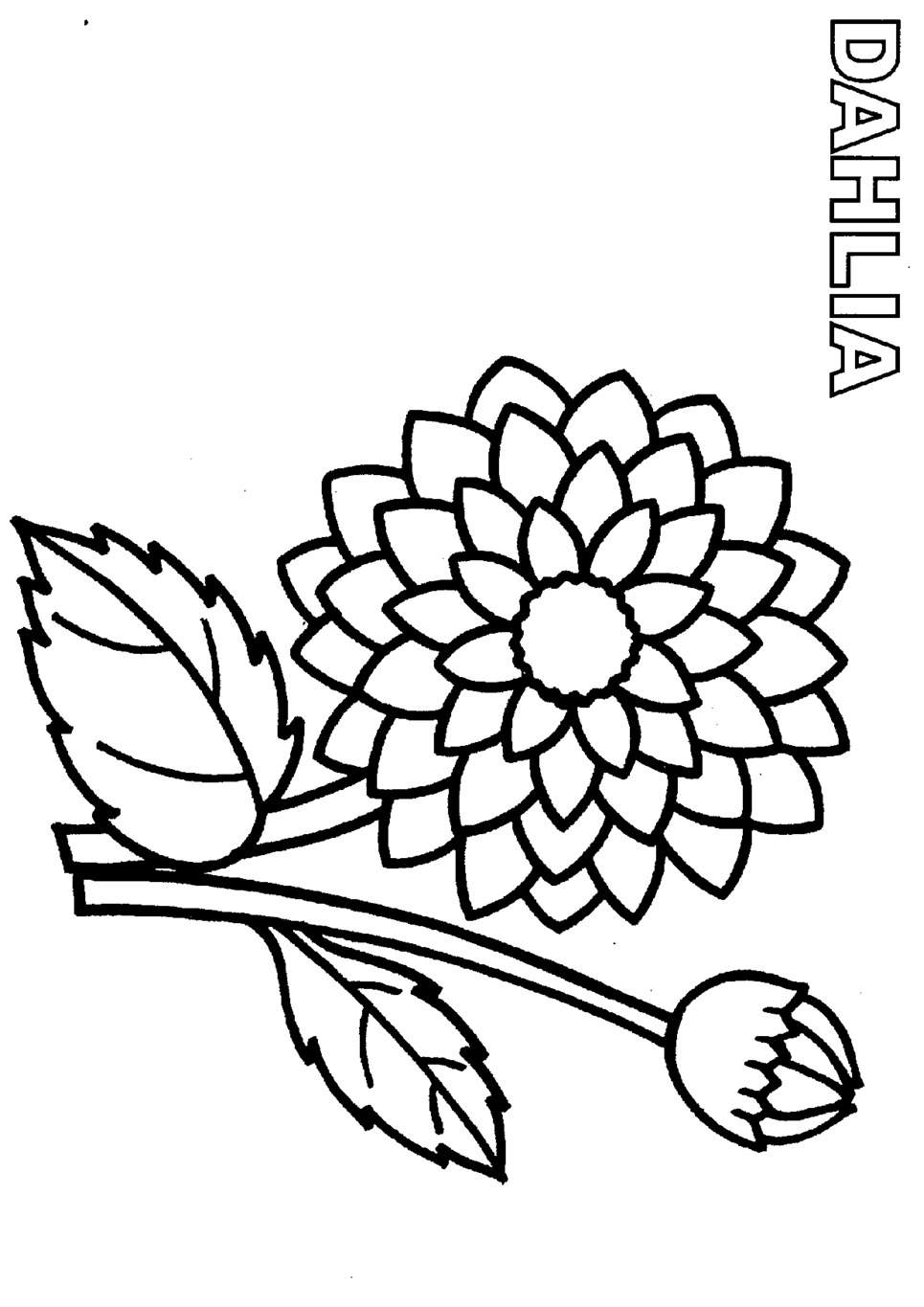 965x1365 Unique Dahlia Coloring Page Collection Printable Coloring Sheet