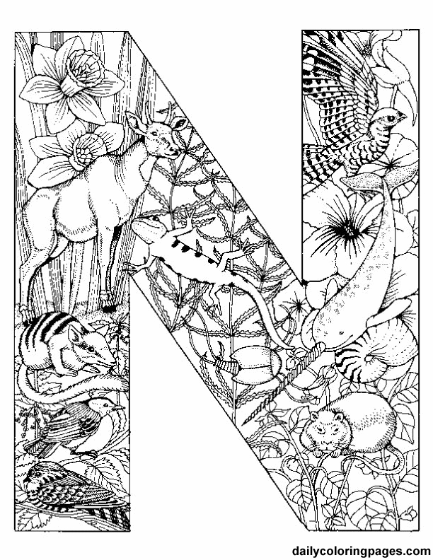 612x792 Daily Coloring Pages N Animal Alphabet Letters To Print