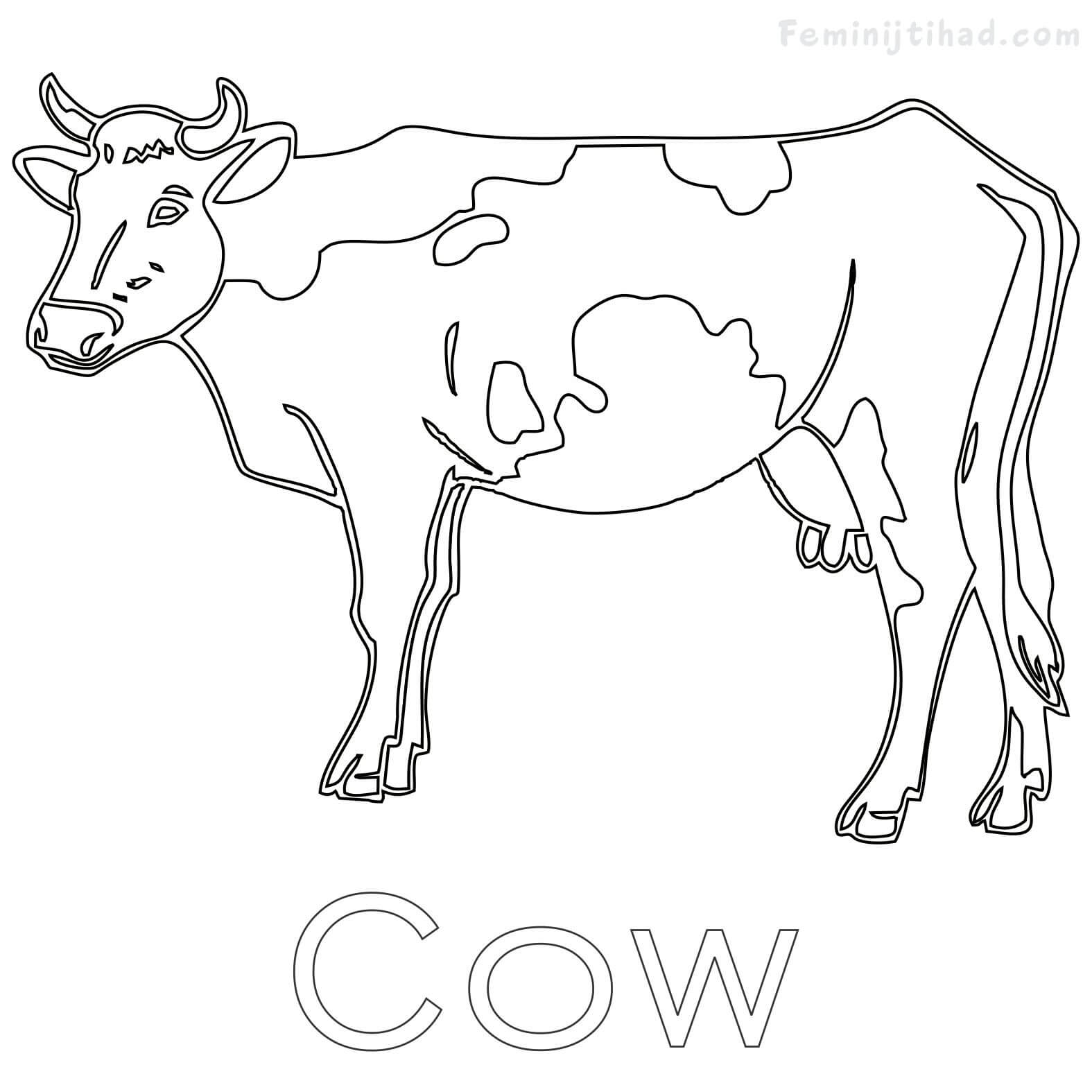 Dairy Cow Coloring Sheet Coloring Pages