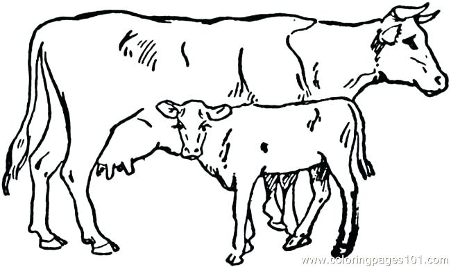 650x385 Cows Coloring Pages Printable Pig Coloring Pages To Print
