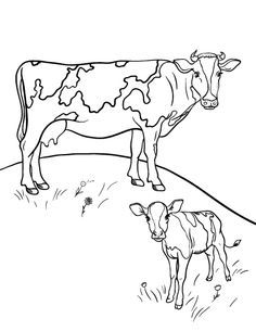 236x305 Texas Longhorn Cow Coloring Page Free Printable Coloring Pages