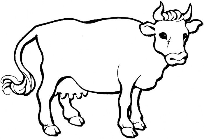 700x478 Cow Coloring Pages For Free Dairy Cow