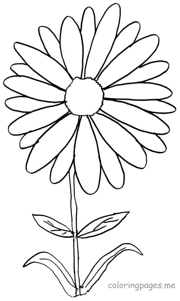 613x1024 Daisy Coloring Pages Coloring Pages With Flowers Daisy Flower