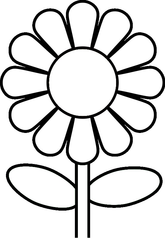 553x800 Daisy Flower Coloring Page