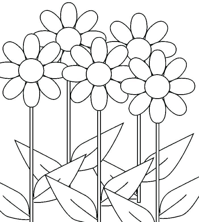 700x778 Daisy Coloring Pages