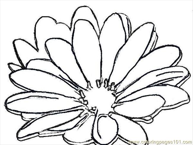 650x490 Daisy Coloring Page