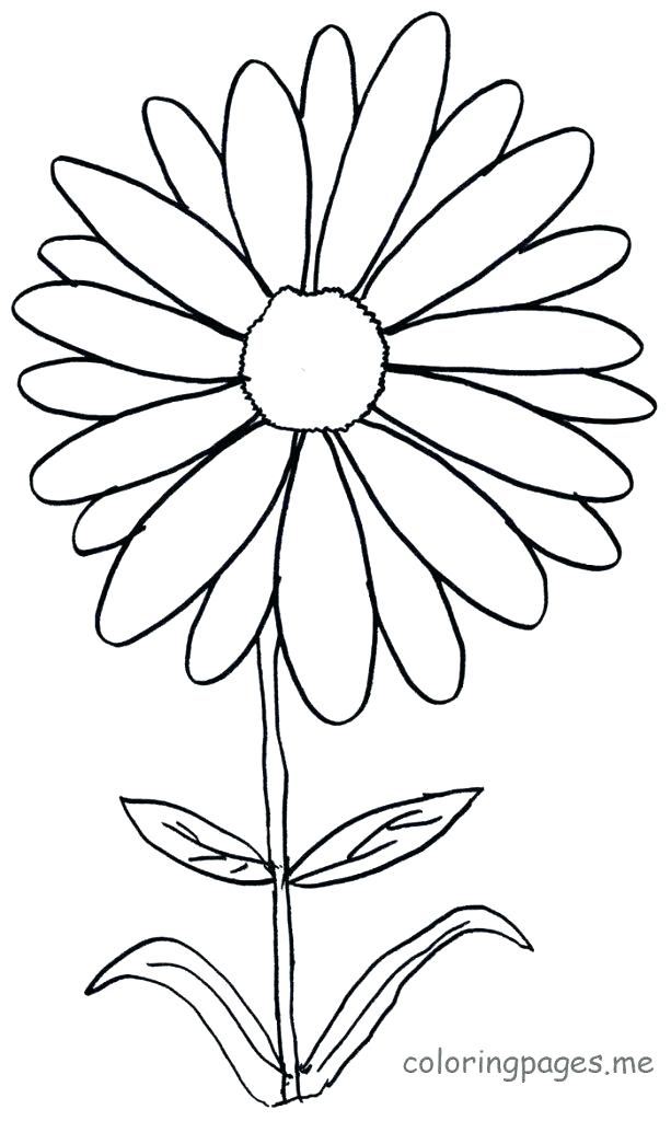 613x1024 Daisy Coloring Pages