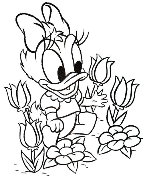 500x619 Daisy Duck Coloring Page Free Printable Daisy Duck Coloring Pages