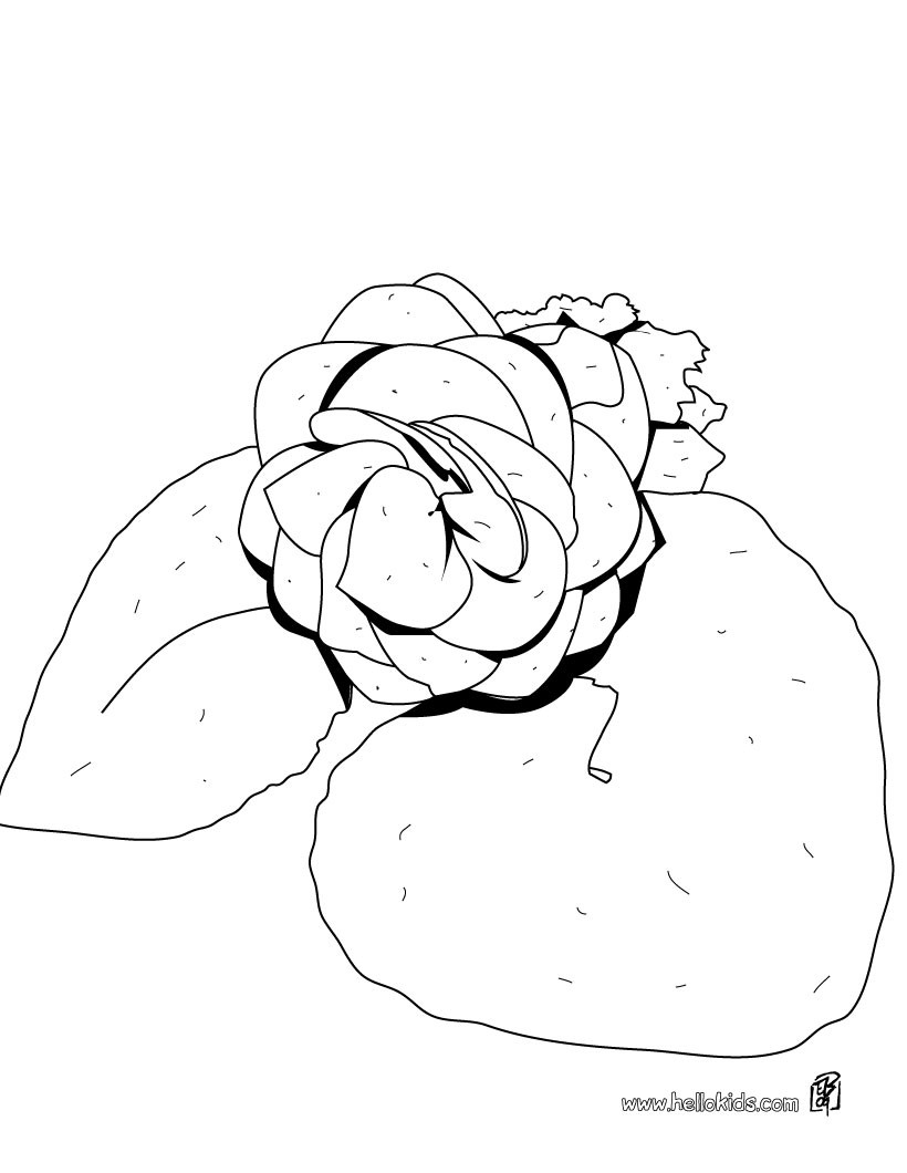 820x1060 Daisy Bunch Coloring Pages