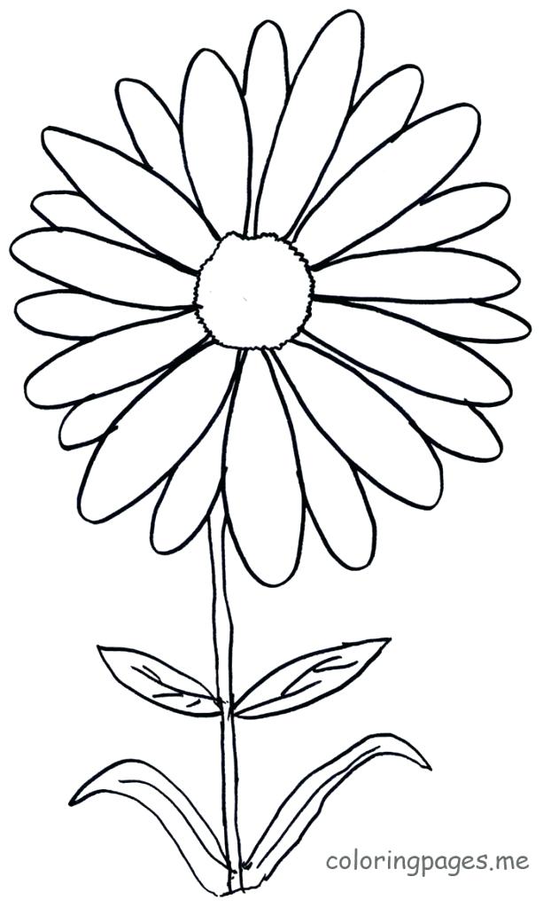 613x1024 Flower Coloring Pages Flowers Coloring Pages Daisy Flower Coloring