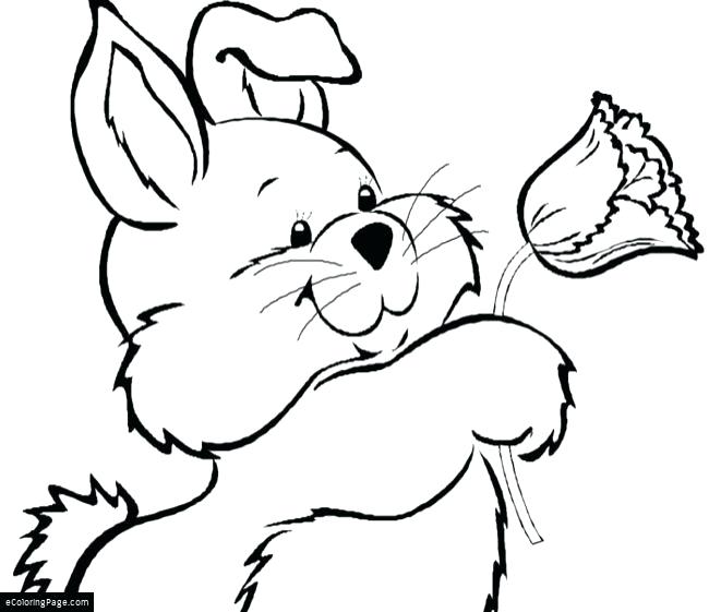 650x561 Ideas Flower Printable Coloring Pages And Bunny And Flower