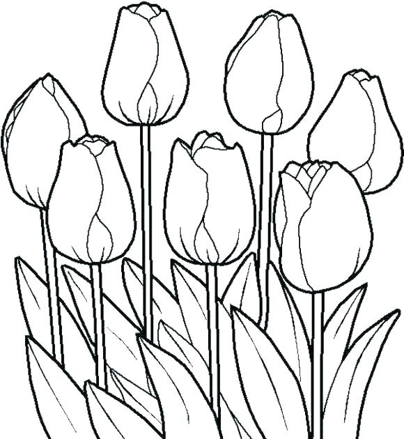 580x630 Coloring Pages With Flowers Daisy Flower Coloring Pages Flowers