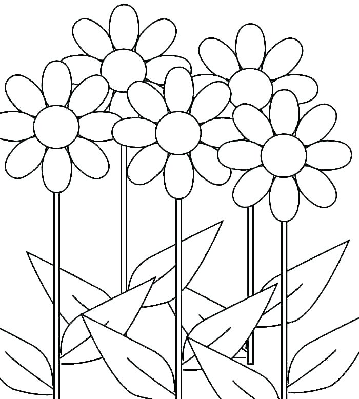 700x778 Girl Scout Daisy Coloring Pages Daisy Girl Scout Coloring Page