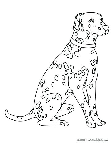 364x470 Dalmatian Coloring Pages Best Images On For Dalmatians Coloring