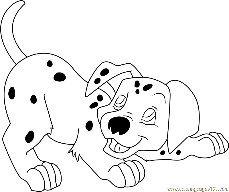 800x670 Cute Dalmatian Puppy Coloring Page