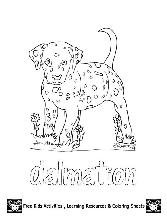 541x700 Dalmatian Puppy Coloring Pages For Kids The Coloring