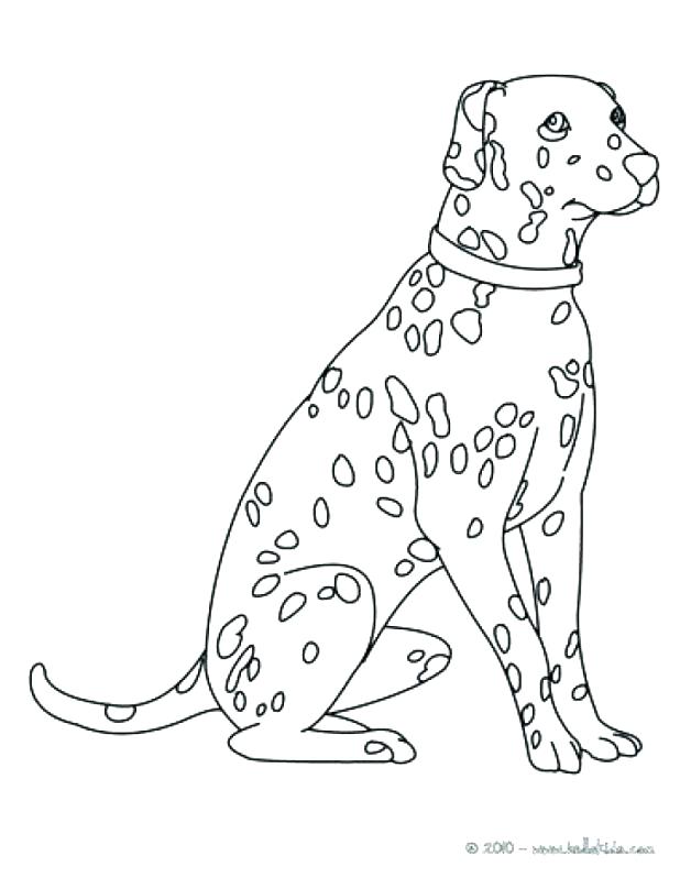 618x798 Dalmation Coloring Pages Coloring Page Dalmatians Coloring Pages