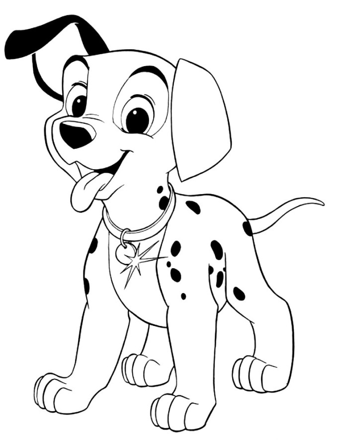 700x886 Dalmatian