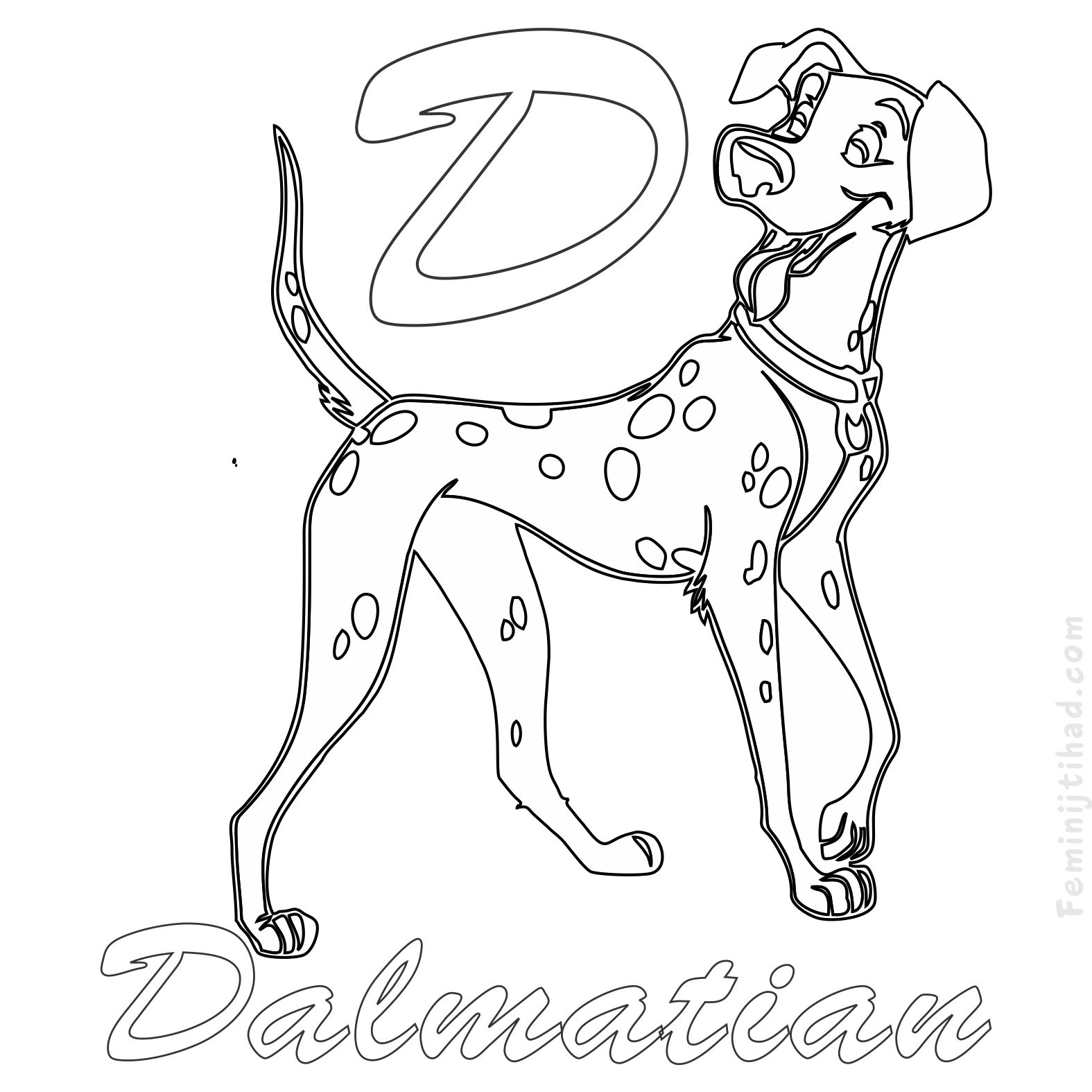 1575x1575 Dalmation Coloring Page