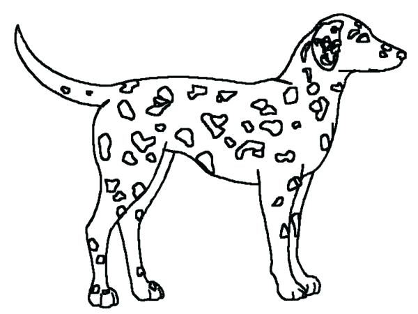 600x450 Dalmation Coloring Page