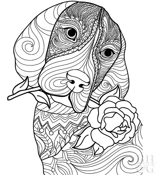 550x611 Pet Coloring Pages