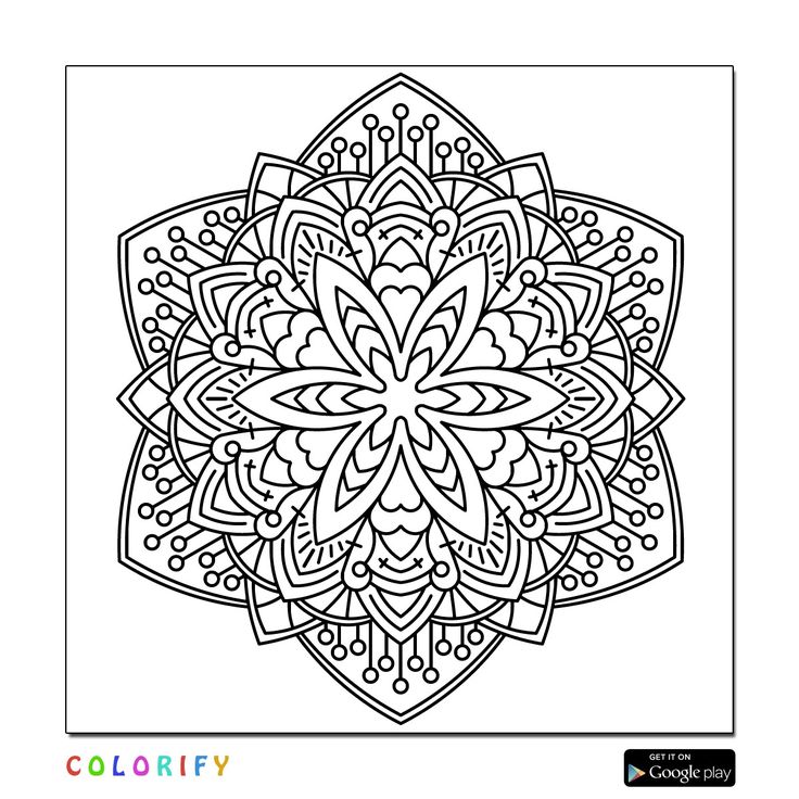 736x736 Dandelion Coloring Page
