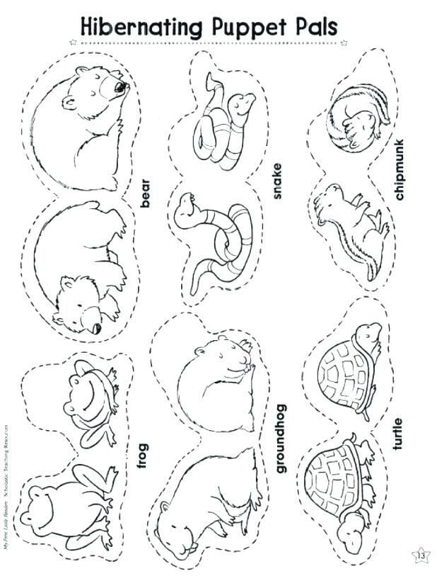 618x813 Dandelion Coloring Pages Dandelions Dandelion Flower Coloring