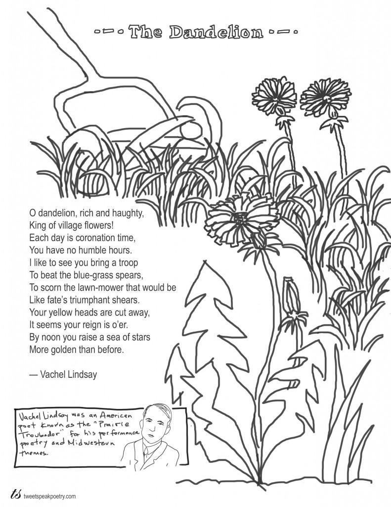 791x1024 Dandelion Flower Coloring Pages Coloring Page Fun