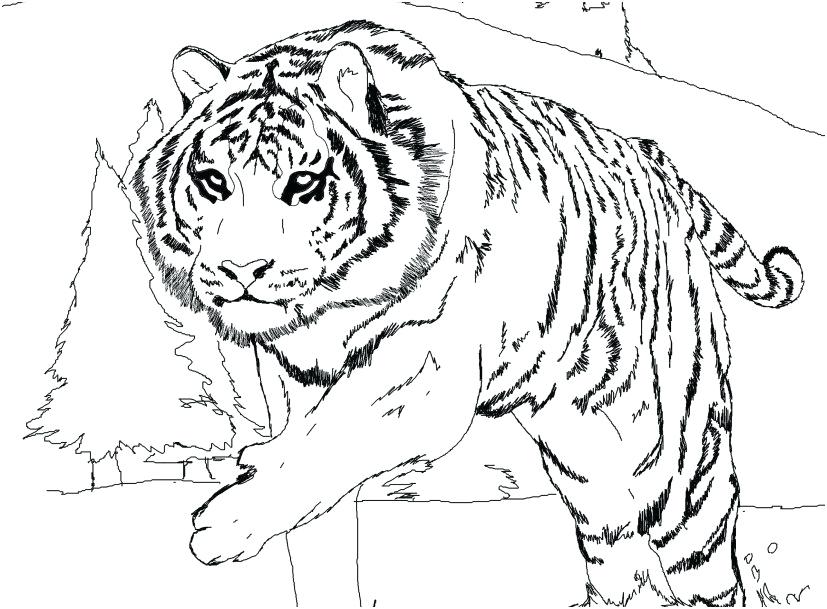 Daniel Tiger Neighborhood Coloring Pages at GetDrawings | Free download