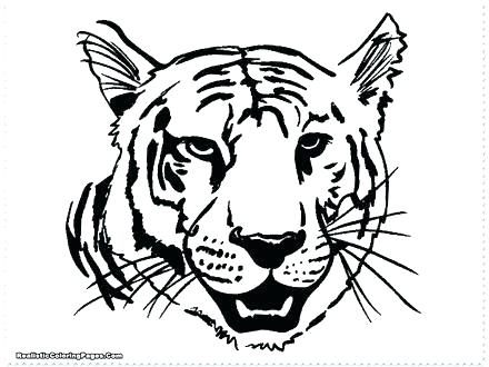 440x330 Daniel Tiger Coloring Pages Printable Tiger Coloring Pages