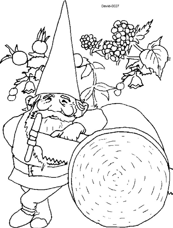 600x793 Kleurplaat David De Kabouter Gnomes Gnomes, Adult
