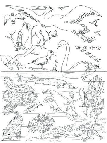 360x480 The Creation Coloring Pages For Children Fresh Decoration Creation