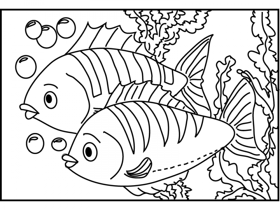 960x720 Free Printable Fish Coloring Pages