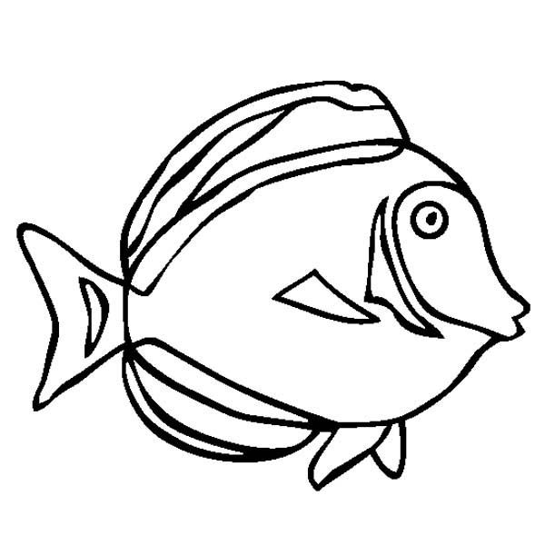 600x611 Best Fish Coloring Pages Images On Fish, Pisces