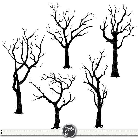 570x570 Dead Tree Outline Free Coloring Pages