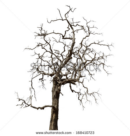 450x470 Drawn Dead Tree Background